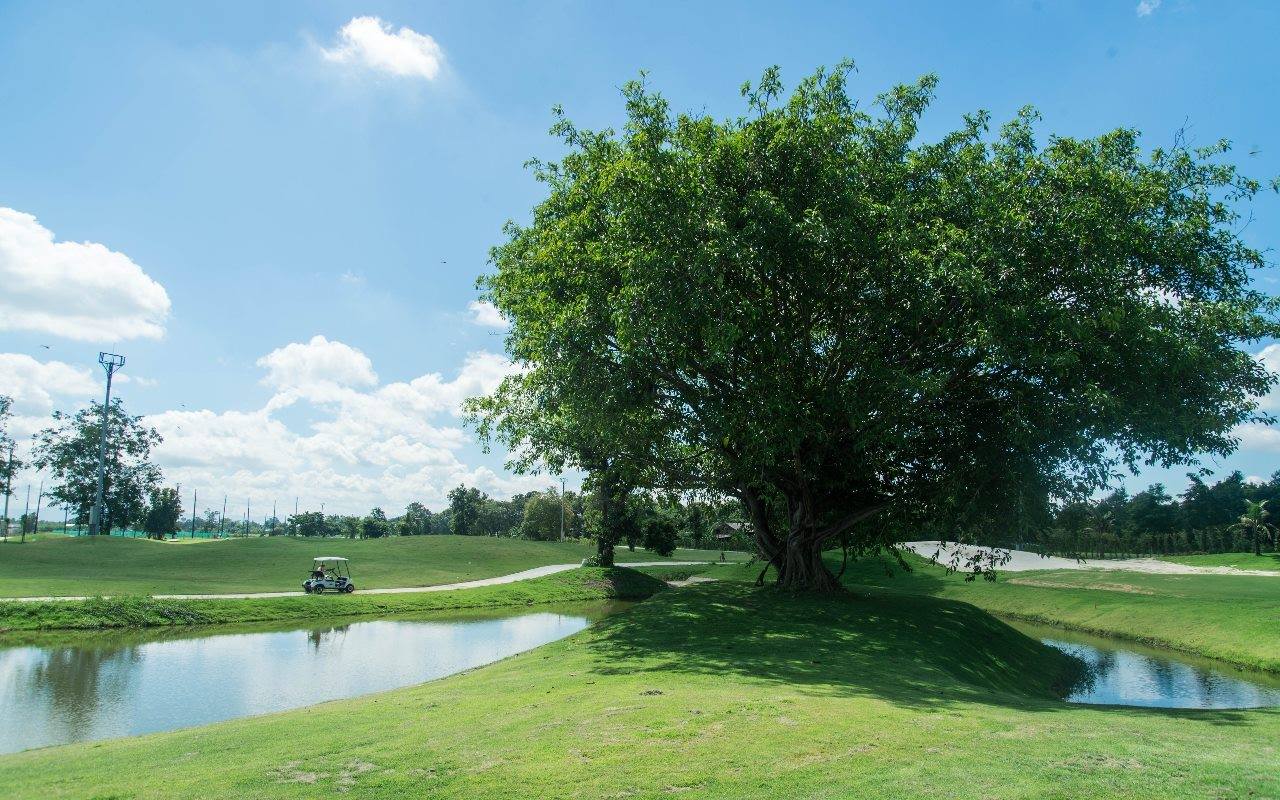 North Hill Golf Club (